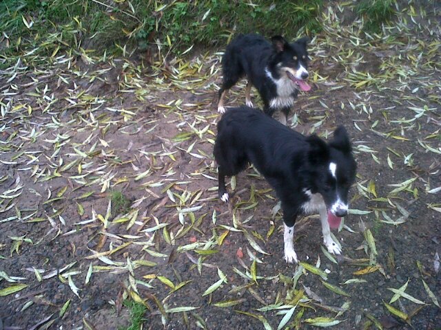 HelenLouise38's profile picture. Life is great :o)