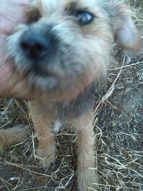 lamanonegra99's profile picture. 