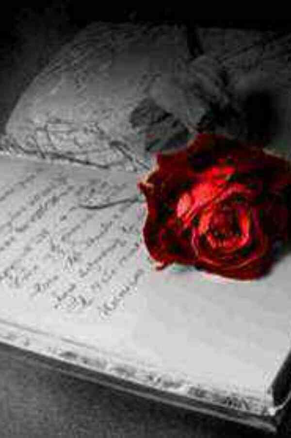 i__bdooor's profile picture. 