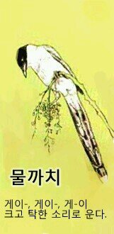 썰 모으는 계정 / 잡담X