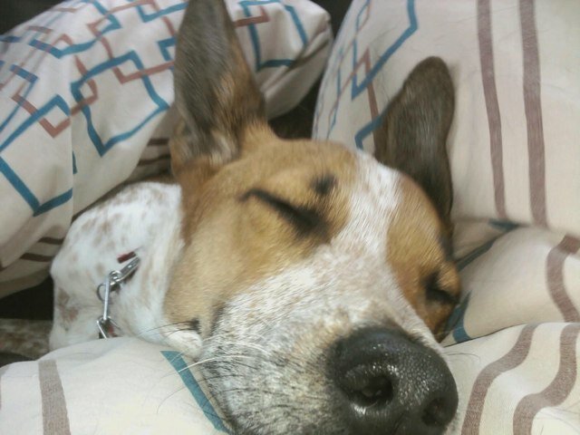 mjmckindley's profile picture. 