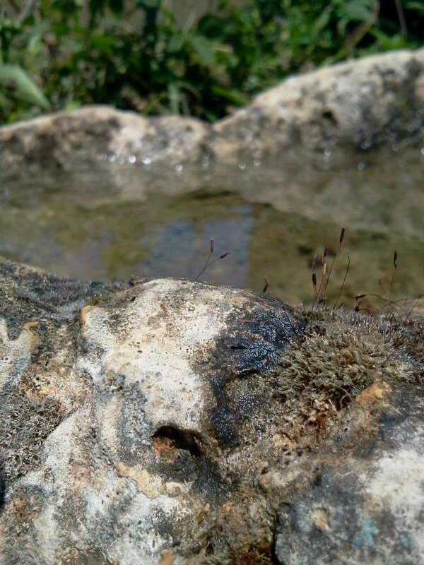 GhaidaaGost's profile picture. Lebanese... I'll never change my mind... I'll be for my self... Helping my self... Taking care about my self... That's it!