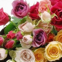 الجوهره البكر (@jojobaekr) 's Twitter Profile Photo