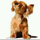 dane earl - @dane_earl - Twitter