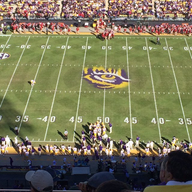 #LSUTIGERS. PA Cards, ED, Hosp Med, Wellness, Metabolic syndrome, Low carb