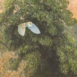 Alan Harrisさんのプロフィール画像