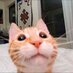 Naranjito (@orion25) Twitter profile photo