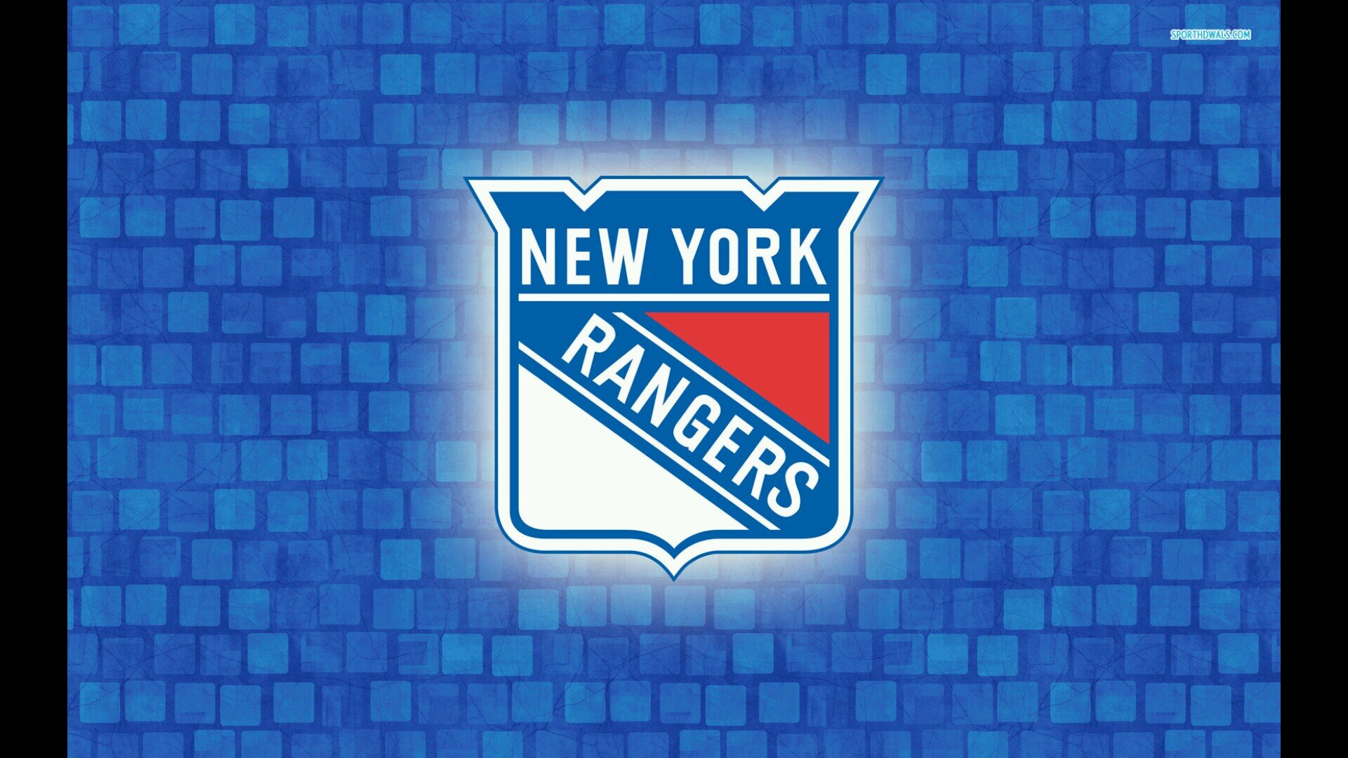 Just a fan who loves nothing more than hockey.  #NYR