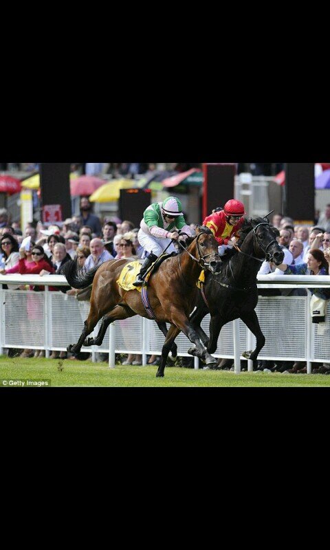 chorsetips's profile picture. 