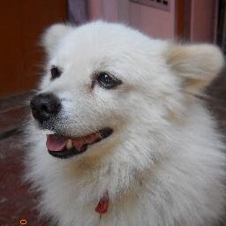 jfry10888's profile picture. An Indian By Birth...
A global citizen by Work...
A Human by virtue...