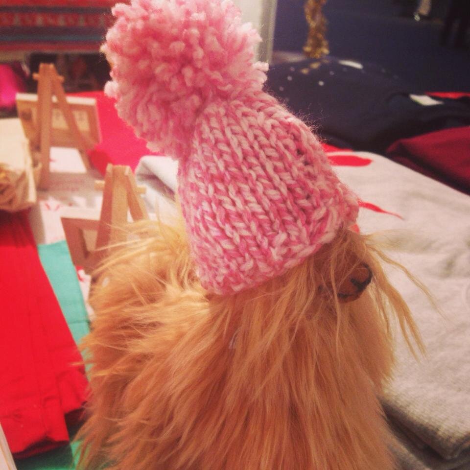 Hi I'm Paco. I'm a Llama and work for No Exceptions Made. Well, I say 'work', I kind of run the show. Check us out! Follow @NEMclothing for more exclusive news
