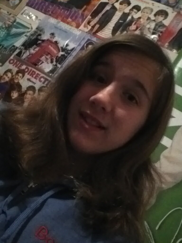 I Love One Direction. Niall, 1D, and my old Rottweiler that died Magnum, are my life 3 :)