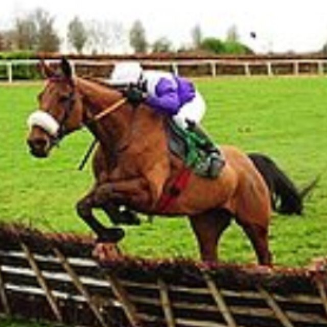 ------ Racehorse Owner ,Breeder and Sales Consignor -- Brooklodge Farm