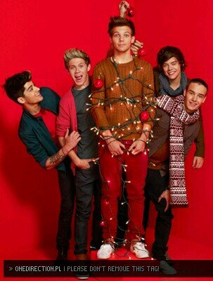 I'm Directioner 3 follow me and I will follow you back :)