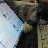 Manal Alfraih (@manal_alfraih) 's Twitter Profile