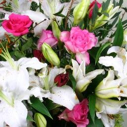 Partner in Graphic Design Consultancy, (semi-retired), Fine Art,  History, Wildlife Watcher, Gardening & Flower Addict. Spouse of landscape painter