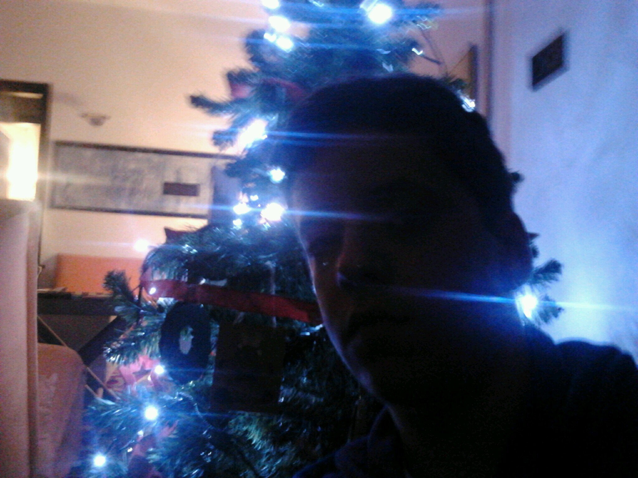 catta102's profile picture. sono catta