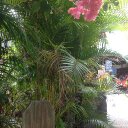 DELAGE MARIE CHRISTI - @Delage1Marie - Twitter