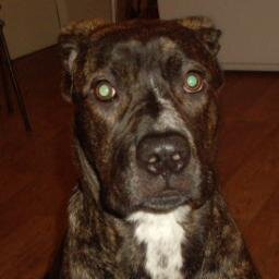 heretikx35's profile picture. no comment