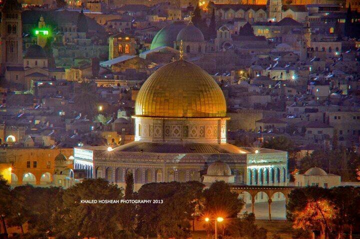 Iam a Palestinian
 palestinian and proud ♥ ♥ ♥ ♥ ♥ ♥ ♥ ♥ ♥ ~¥فلسطين يا امي يا ساكنة دمي ¥~ ♥