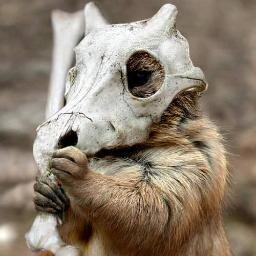 Qbone69's profile picture. Just your average twitch lurker