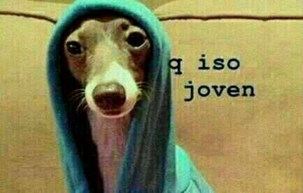 ei psiu chega mais; quero te contar um segredo; eu gosto de frango frito!!