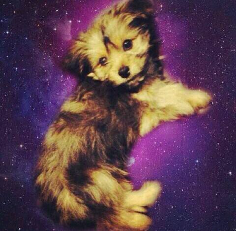 Im Chunky Chewy! :-)