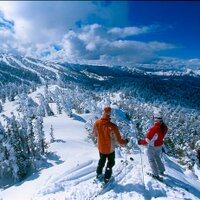 Snow Sport Sunday (@skisunday1) 's Twitter Profile
