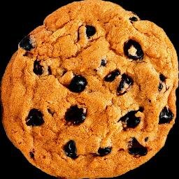 Pryanyk_ua's profile picture. Пряник-пі..р Яник!Спечений без яєць!