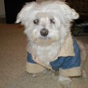 deb cummings - @cummings_deb - Twitter