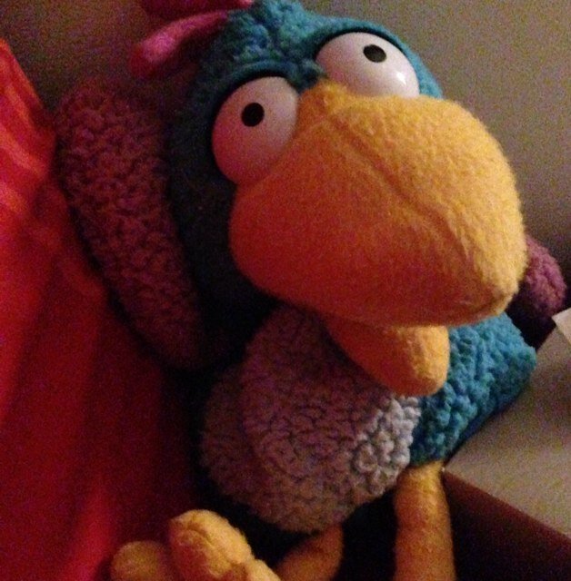 simmi7067's profile picture. 