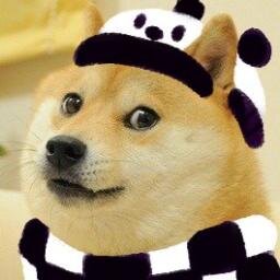koé