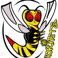 HinckleySwimmingClub (@hschornets) 's Twitter Profile