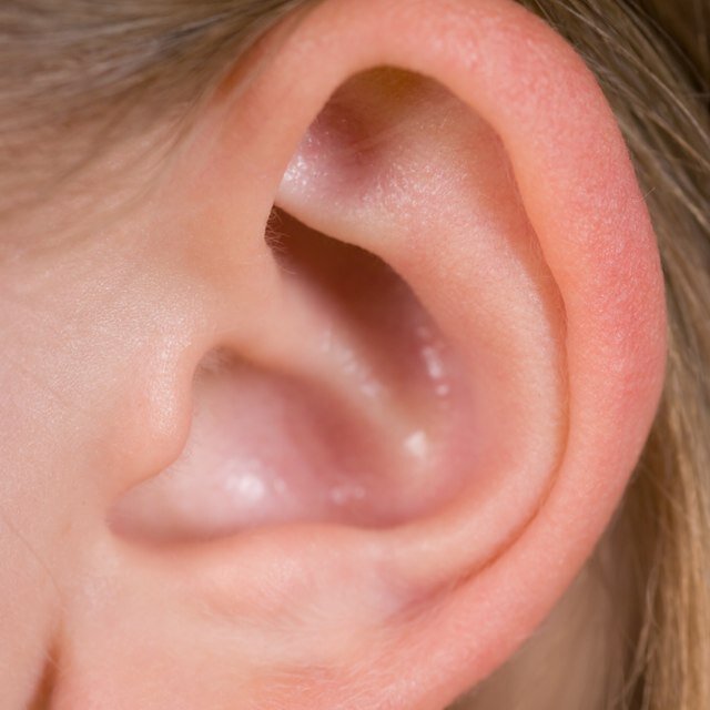 People should really keep their voices down during class. Send your eavesdroppings to overheardintheclassroom5@gmail.com