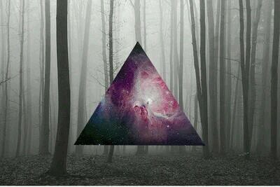 LSD / BLUNTS / KNOWLEDGE