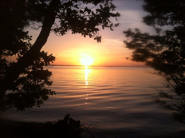 CindysMarket's profile picture. The great world of B2B Cold Calling!
Are you strong enough? Are you making a lot of money! At a dead end? Oppurtunity is here today!!!