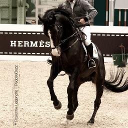 Grande fan d'équitation, je suis le haut niveau avec attention!