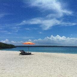 born4greatnes's profile picture. 