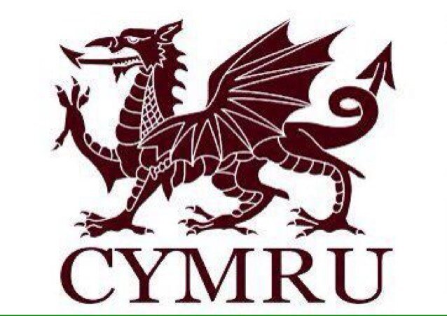 just a normal(ish) single Welsh 🏴 very tall bloke, suffers depression on the long road to freedom and recovery. blades ⚔️ supporter