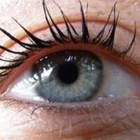 indygo angelita (@indygoangelita) 's Twitter Profile
