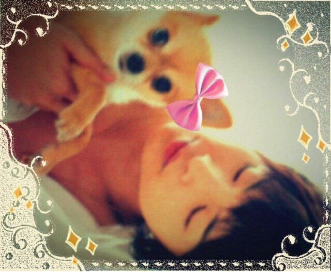 jtmvljdtmtm's profile picture. ふわふわたまもりんっ♪