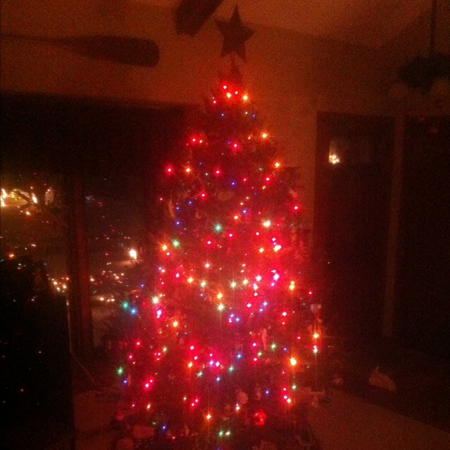 LoucksXmasTree's profile picture. 