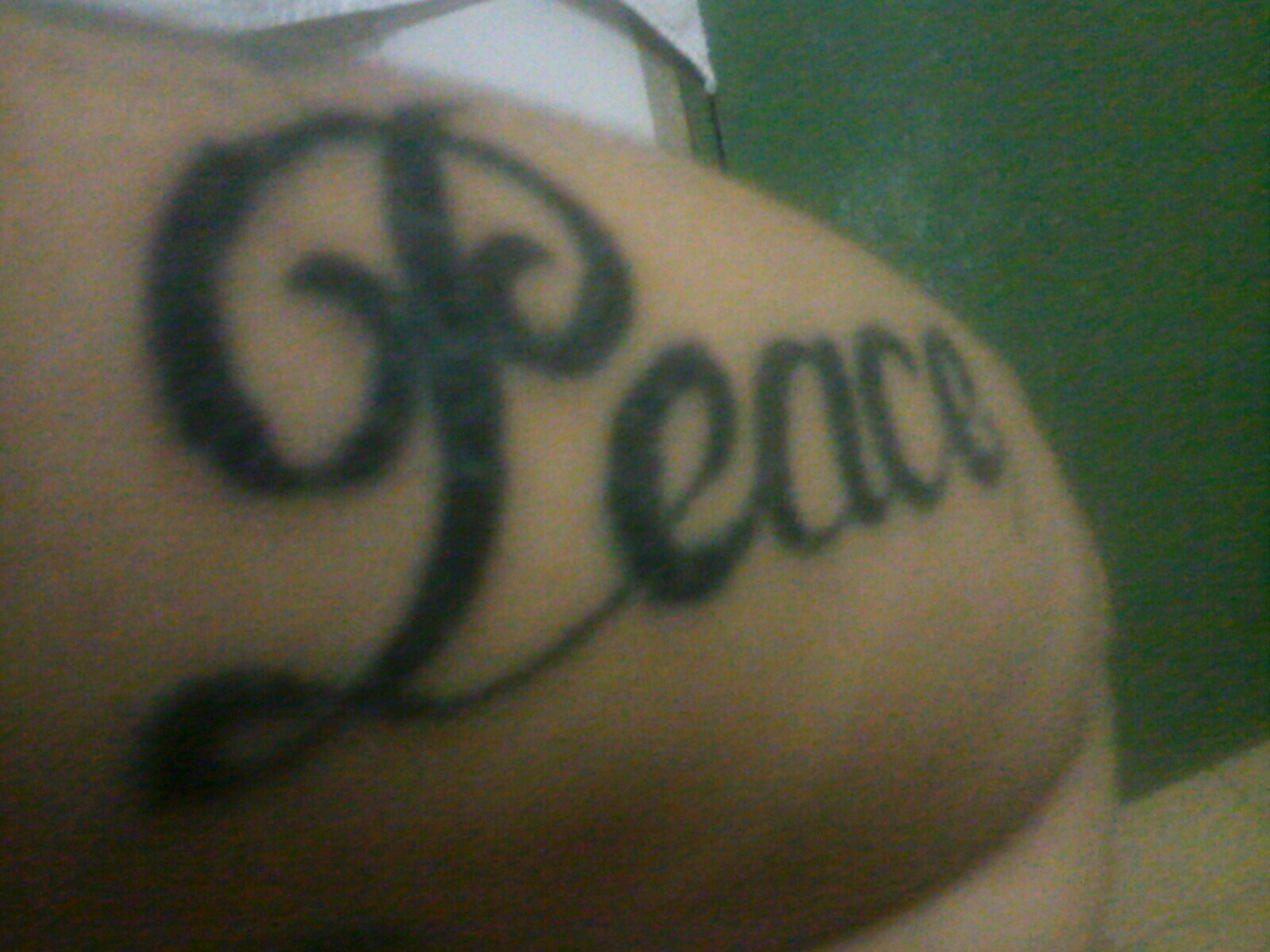 segime y te sigo posta