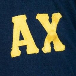 Alpha Chi chapter of Pi Kappa Phi at the University of Miami