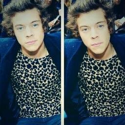 YOLO 1D fans only