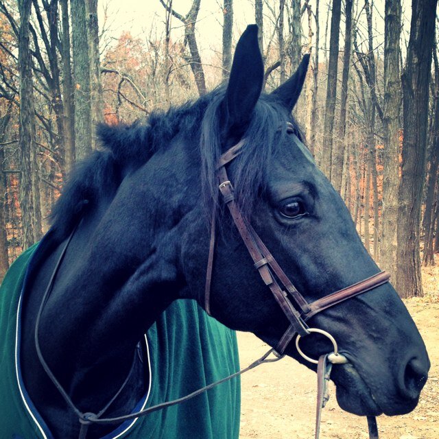 Living in CT is not for the faint of heart. And don't even think about riding here.