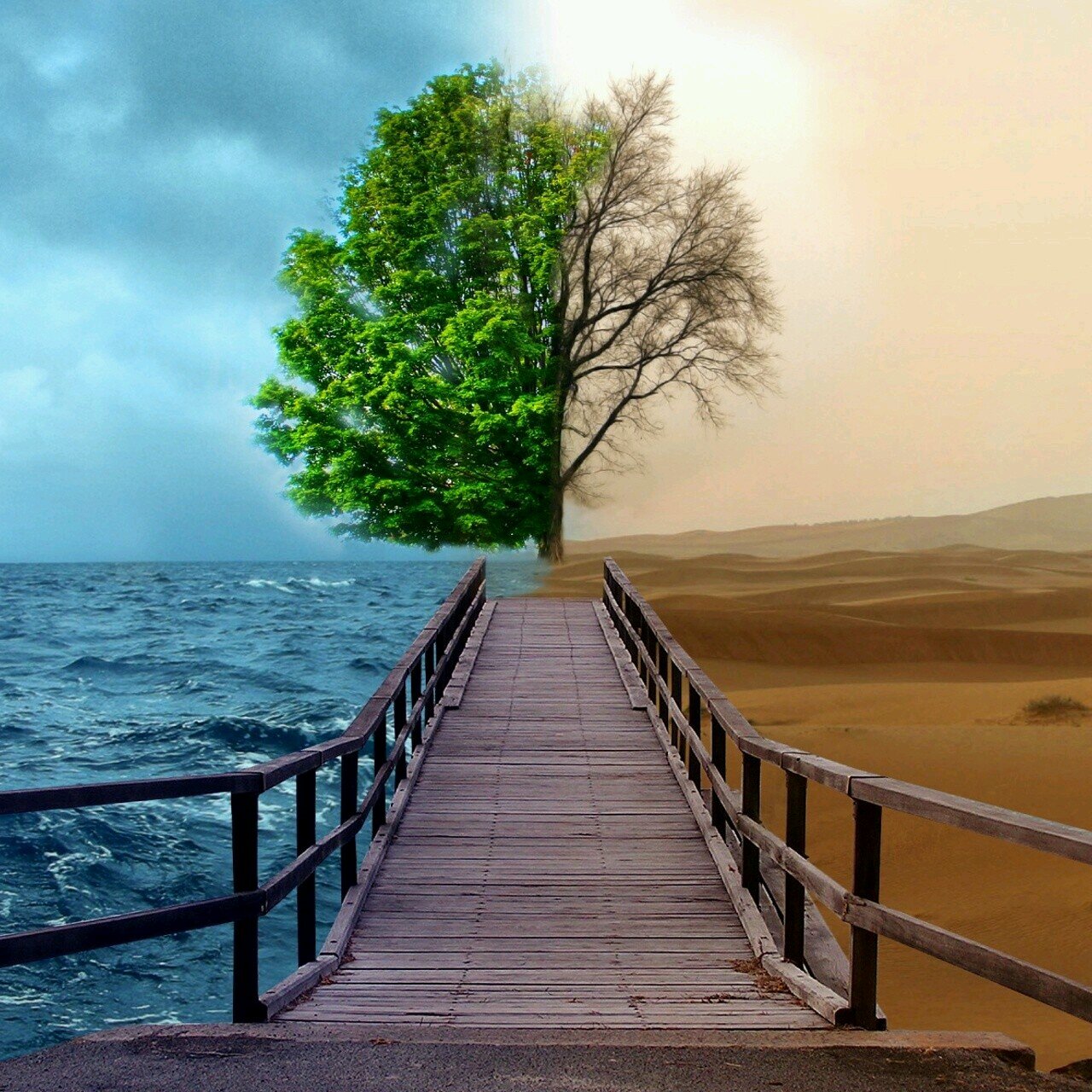 ‏‏‏لَسَّتُ مْثالي ولَكنّنِّي أطمَح لأكونَ الأفَّضل ❤