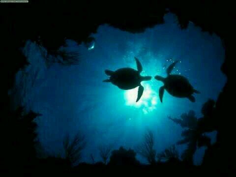 tan_ya_p's profile picture. 