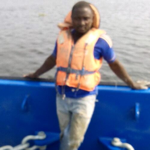 domestic and industrial painting, electrical, electronics and telecommunication engineer