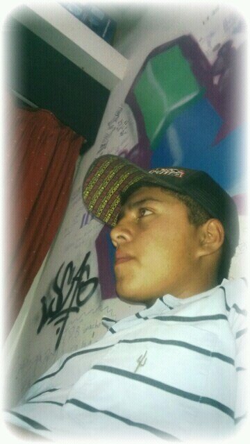WHATSAP..03541 689798